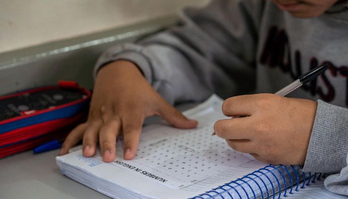  Líder nacional em educação, Paraná vai receber aporte recorde de fundo federal